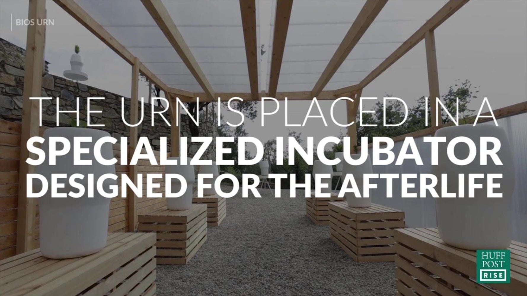 This Urn Will Turn Your Ashes Into a Tree HuffPost null