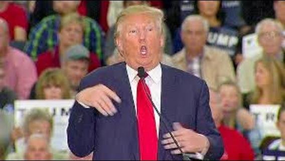 trump mocks disabled snopes