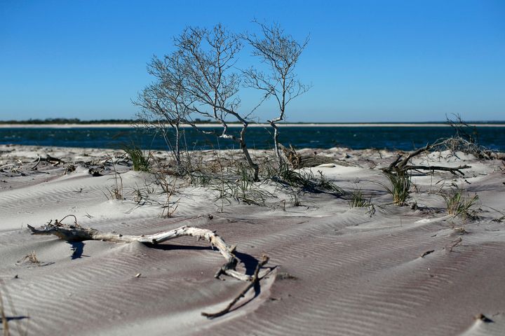 Fire Island beaches, pictured above, were closed after the incidents until further notice