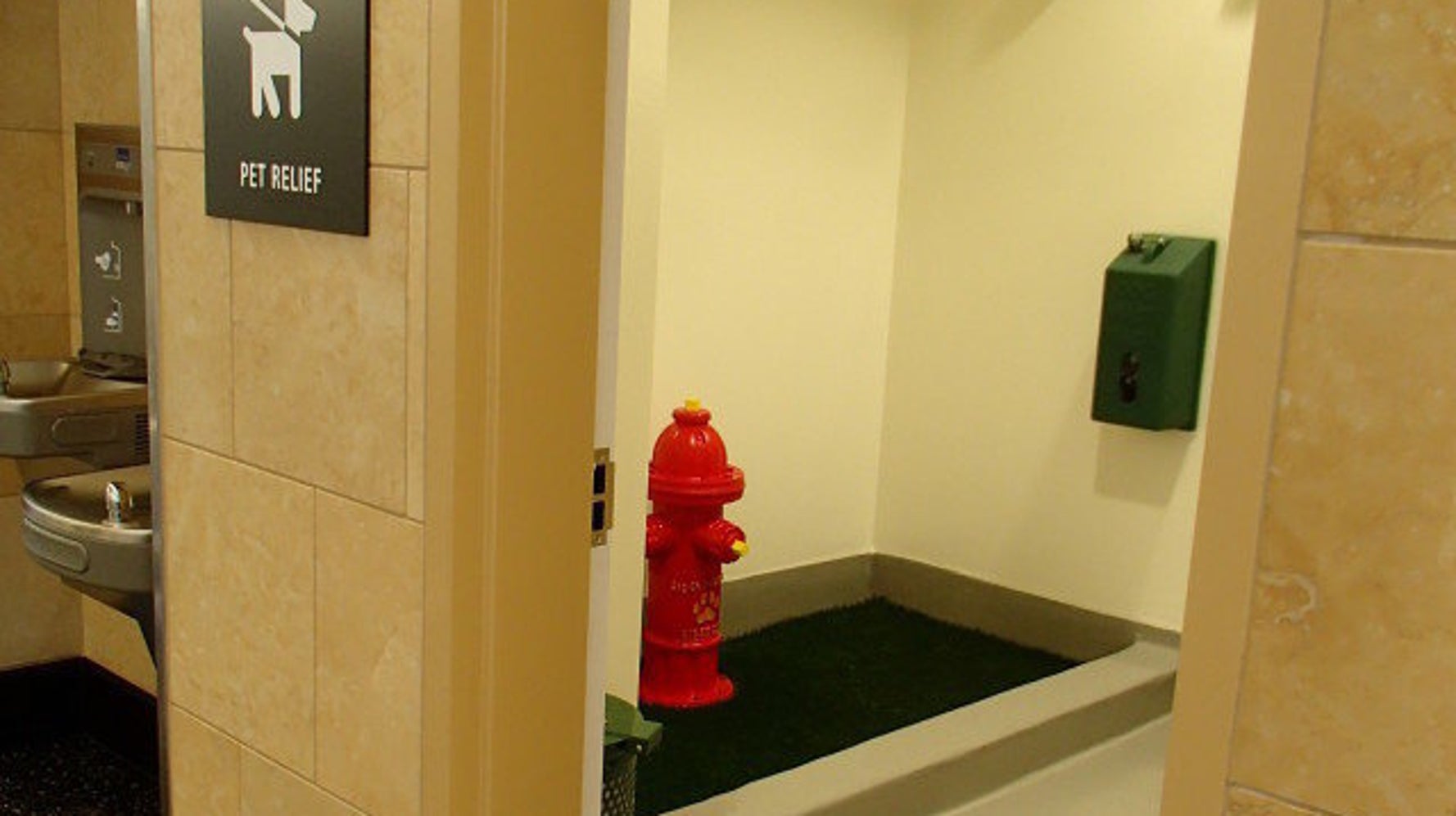 San Diego Airport Dog Bathroom Keeps Pets And Owners Happy | HuffPost