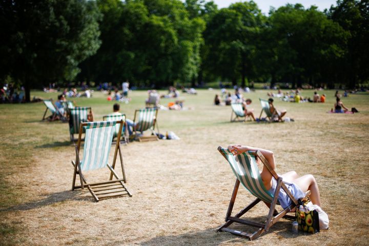 <strong>London's Green Park turns brown during the driest start to summer the UK has experience in 57 years</strong>