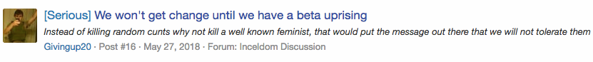 An incel encourages other members of incels.me to kill a prominent feminist as an act of political violence.