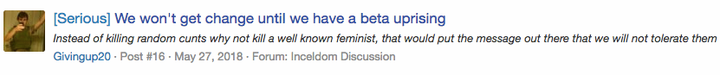 An incel encourages other members of incels.me to kill a prominent feminist as an act of political violence.