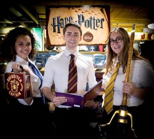 harry potter hamleys