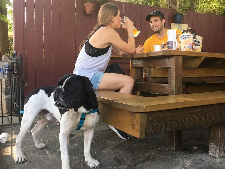 <p>Ronald dines with owners Hannah Bradford and Jeff Hallock at Wonderland Ballroom in Washington, D.C. The bar was one of many to be warned about allowing dogs on the premises before the city council changed the policy. </p>