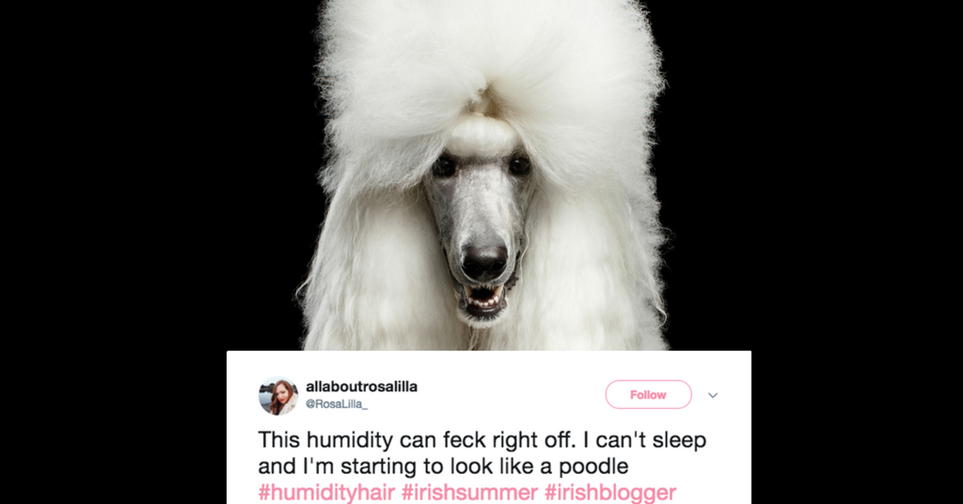 18 Hilarious Tweets About The Epic Battle Between Hair And Humidity