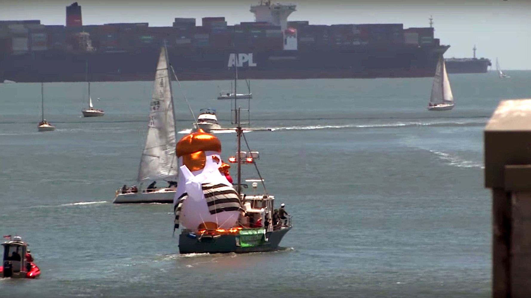 Another Trump Inflatable Sets Sail – This Time Its A Chicken