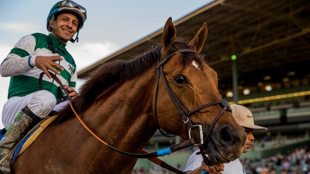 ARCADIA, CA - FEBRUARY 03: Accelerate #3, ridden by Victor Espinoza wins the San Pasqual Stakes at Santa Anita Park on February 3, 2018 in Arcadia, California. (Photo by Alex Evers/Eclipse Sportswire/Getty Images)