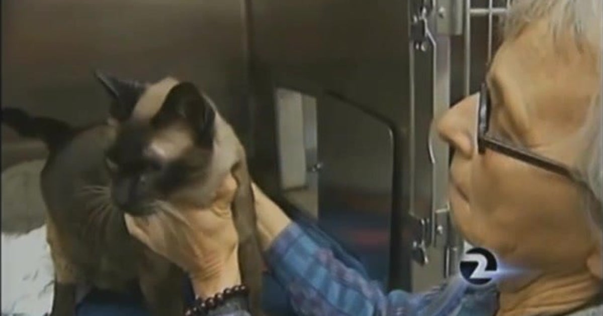 A Woman Gets Reunited with Her Pet Cat After 8 Years | HuffPost Videos