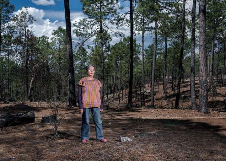 Isela González is head of the Sierra Madre Alliance, an organization that has defended indigenous rights in Mexico's Sierra Tarahumara for the last 20 years.