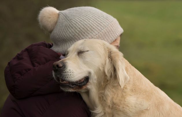 <strong>Third Place</strong><br>"Home"<br>Ruby Roo, golden retriever, U.K.