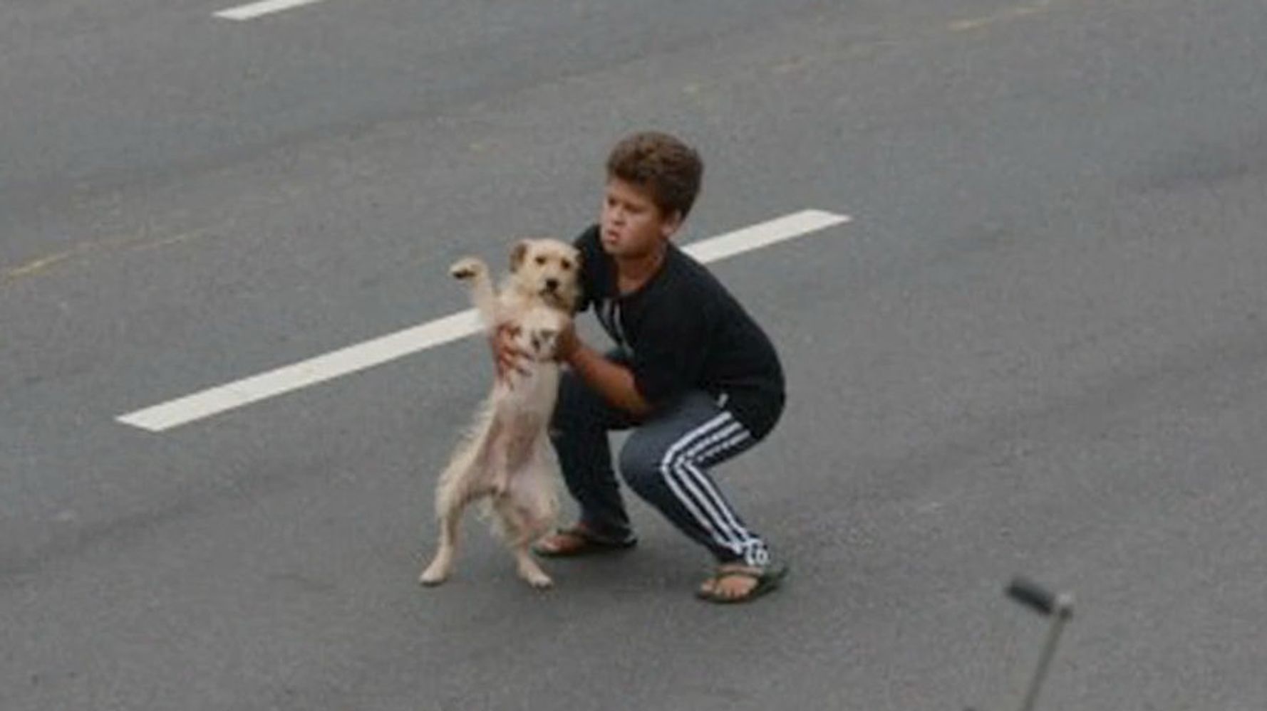 11-Year-Old Boy Stops Traffic to Rescue Dog Hit By Car | HuffPost Videos