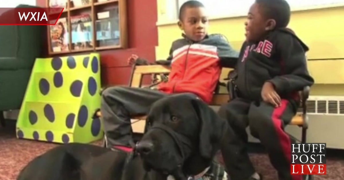 How A 'Failed' Service Dog Inspired One Family HuffPost Videos