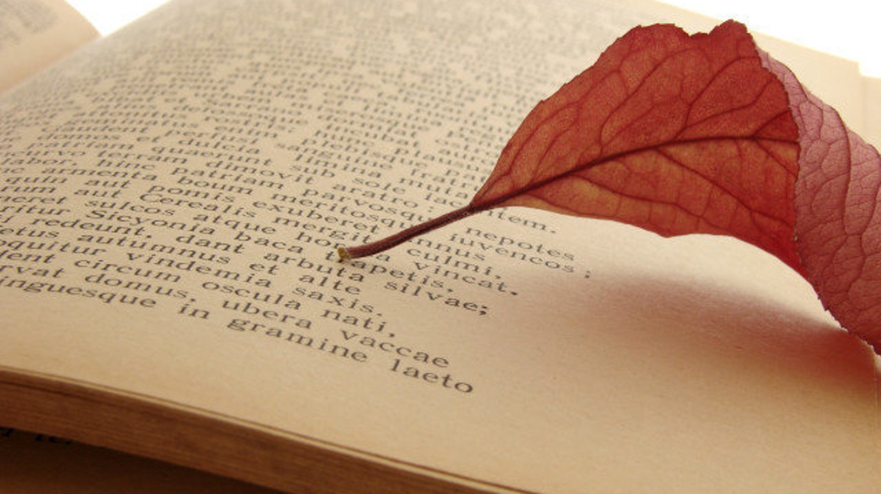 teen-s-worst-day-ever-poem-goes-viral-huffpost-videos