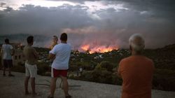 Greece Wildfires: At Least 74 Dead As Huge Blaze Sweeps Through Holiday Resorts