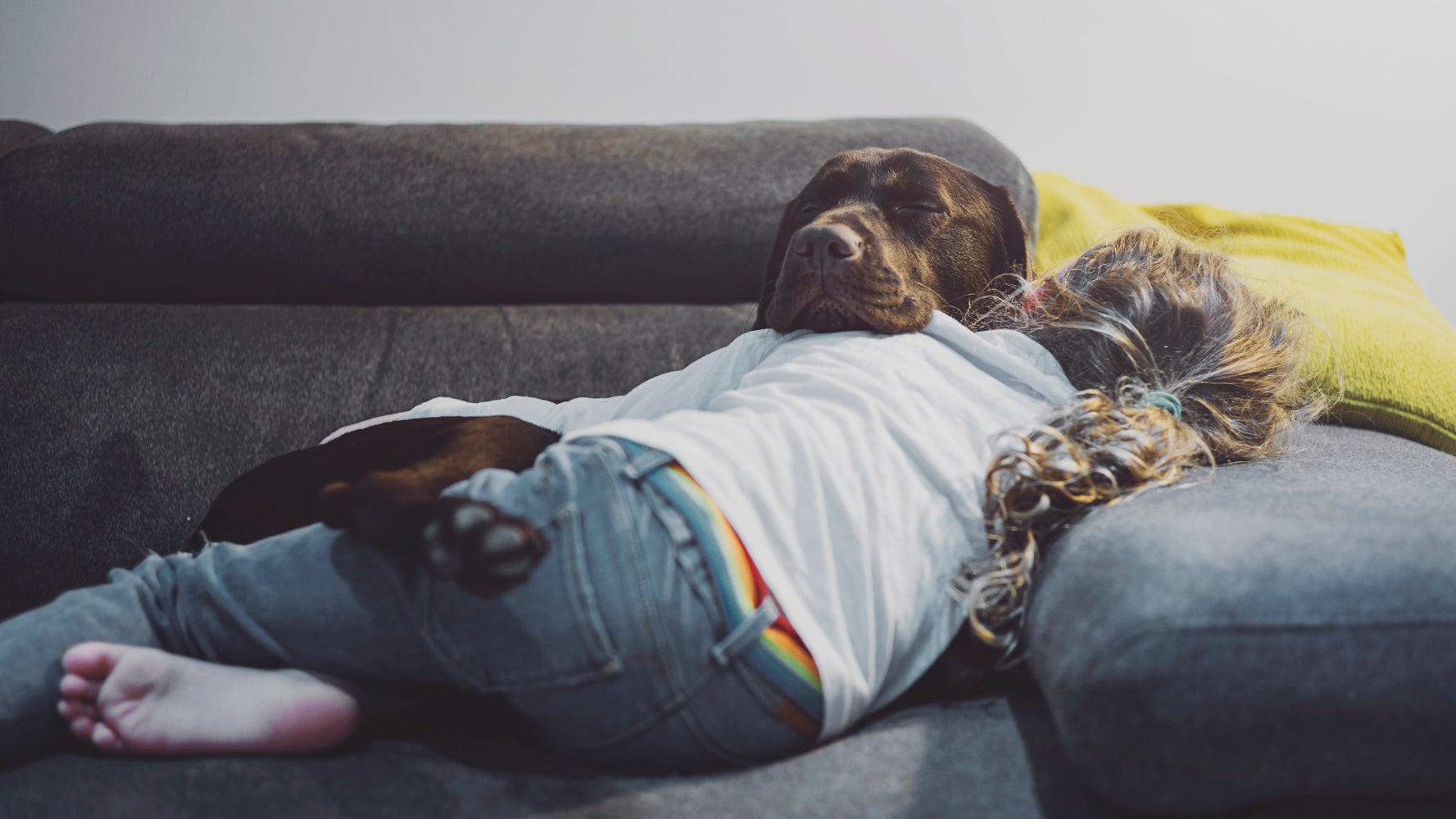 Your Dog Knows When You Re Upset And Wants To Make It Better Says Scientists Huffpost Uk Life