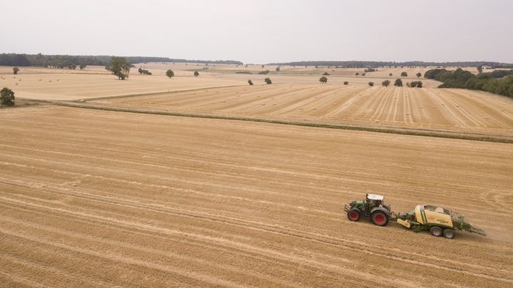 A tractor pulls a square baler press and creates square bales from the straw of a harvested wheat field for sprinkling and feeding the cattle stables. Due to the drought, the harvest seems to be bad for German farmers this year. Since the beginning of the weather records over 130 years ago, this seems to be the hottest summer ever in Germany. The drone is flying on low level direction backwards from the combine harvester.
