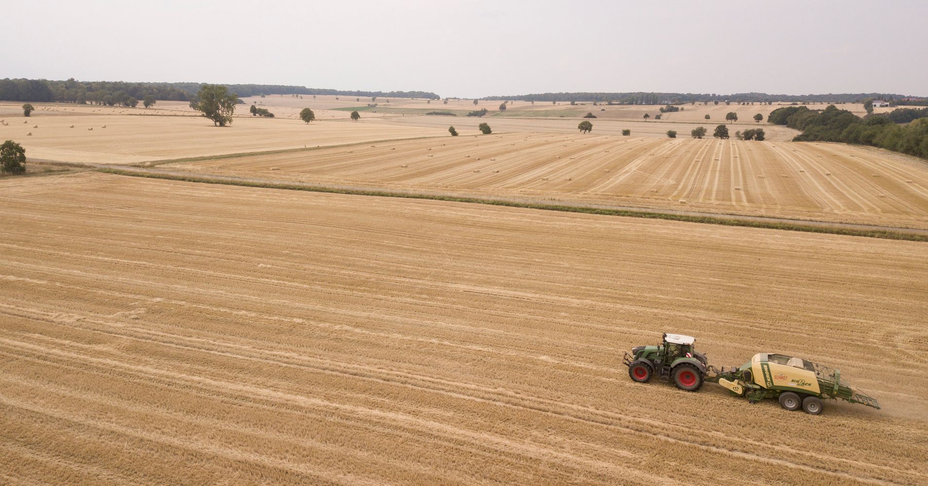 crop-failure-and-bankruptcy-threaten-farmers-as-drought-grips-europe