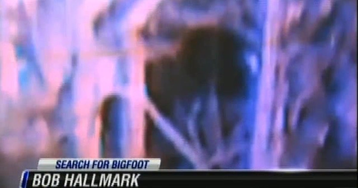 Bigfoot Spotted In Texas? HuffPost Videos