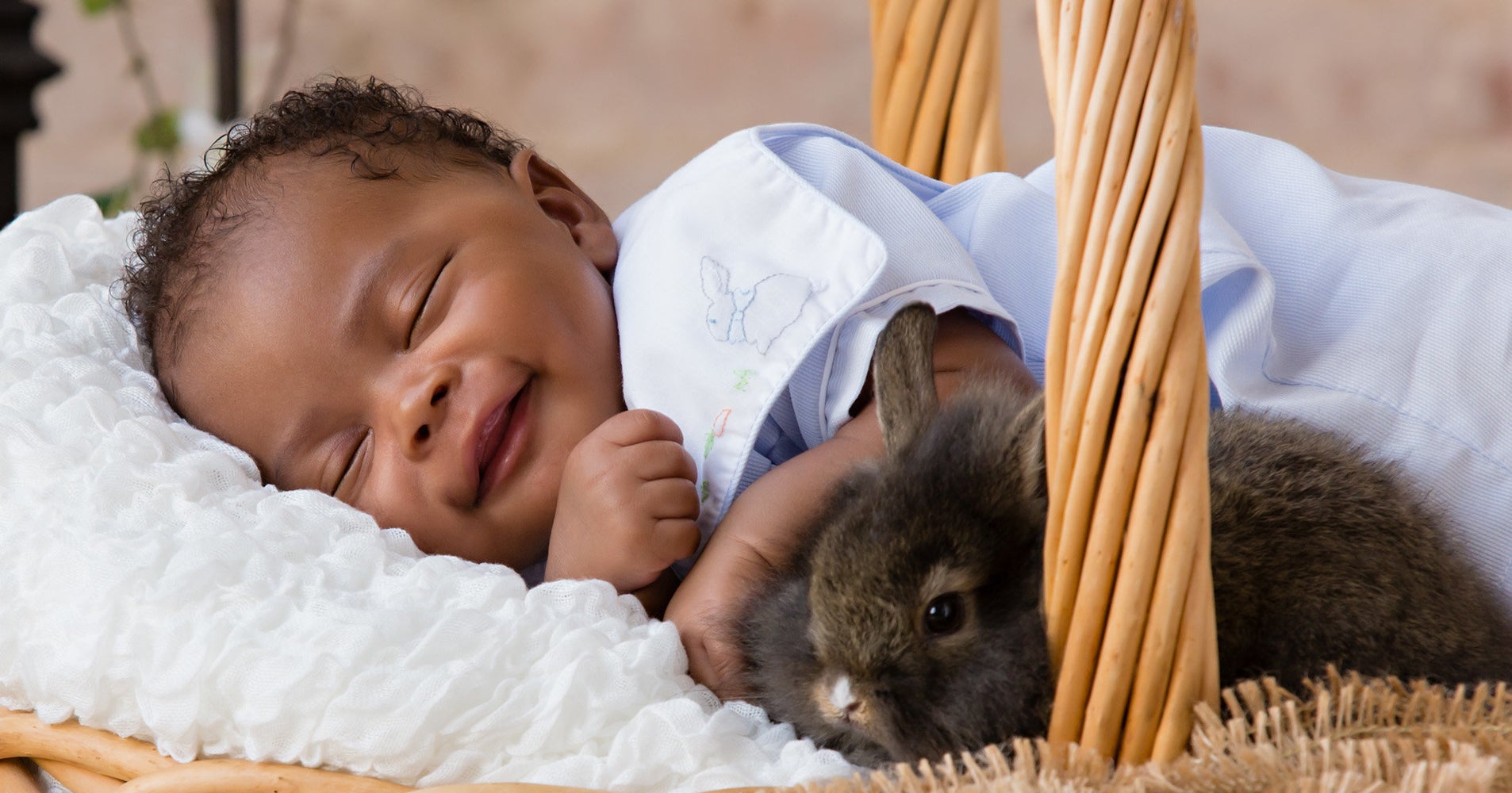 15 Adorable Photos Of Babies and Bunnies Just Because HuffPost Life