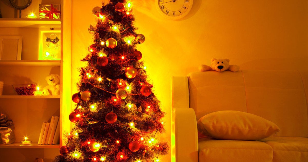 My Christmas Tree Burned Down My House And My Dog Saved The Day