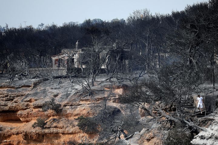 A local walks on a burnt slope following a wildfire at the village of Mati, near Athens, Greece.