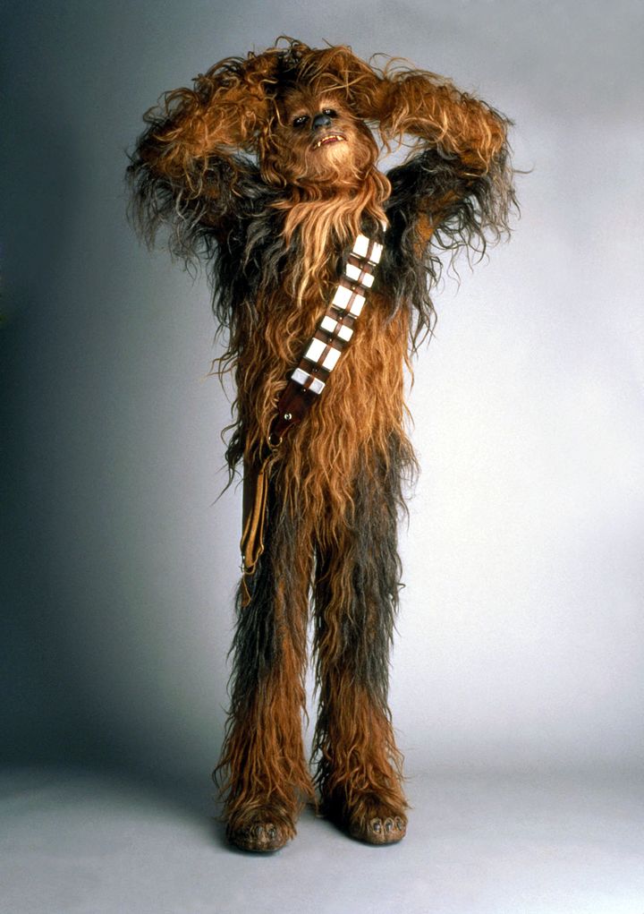 Peter Mayhew in character as Chewbacca