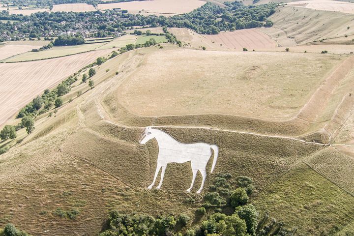 The English landscape, such as here surrounding the White Horse of Westbury, Wiltshire, is parched following weeks of dry weather 