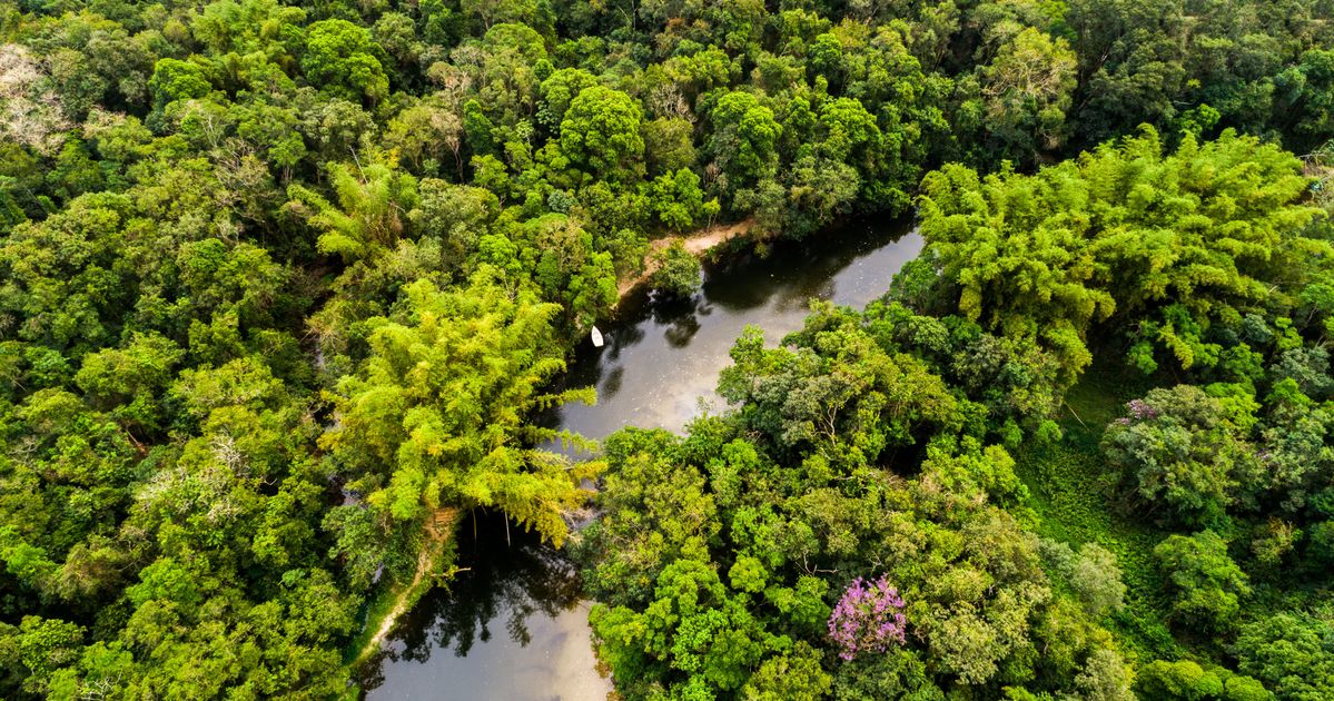 Колумбия джунгли Амазонка