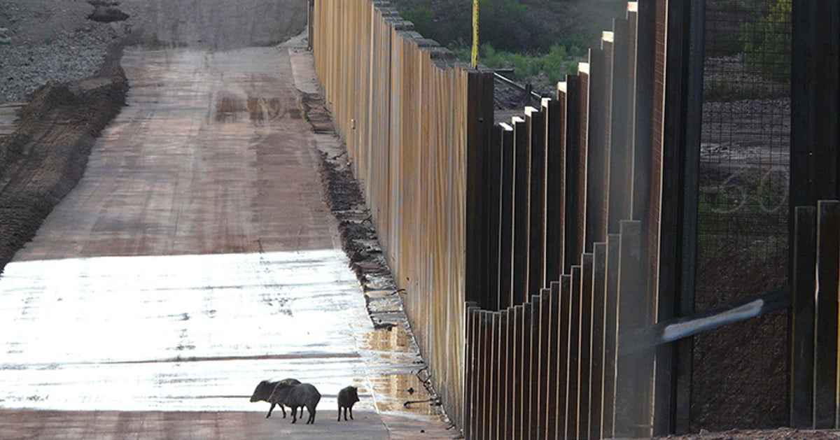 Scientists Warn Trump's Border Wall Would Be A Disaster For Wildlife ...