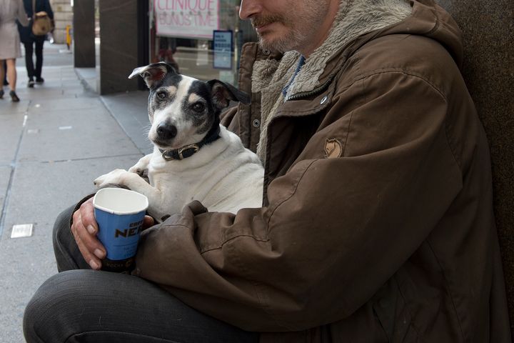 Rough sleepers and their companion animals are being assisted by charities and local authorities during UK heatwave.