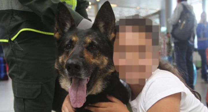 A bounty has been placed on the head of Columbian police sniffer dog Sombra, pictured above