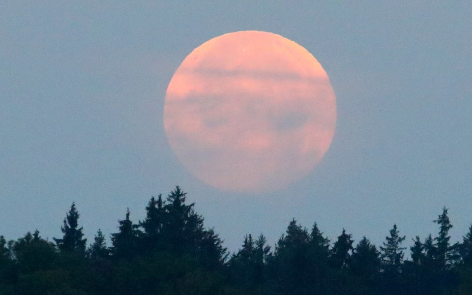 All The Best Blood Moon Pictures