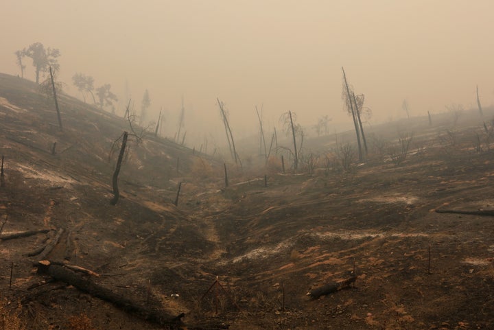 Wildfires also left the hills burned near Igo California.