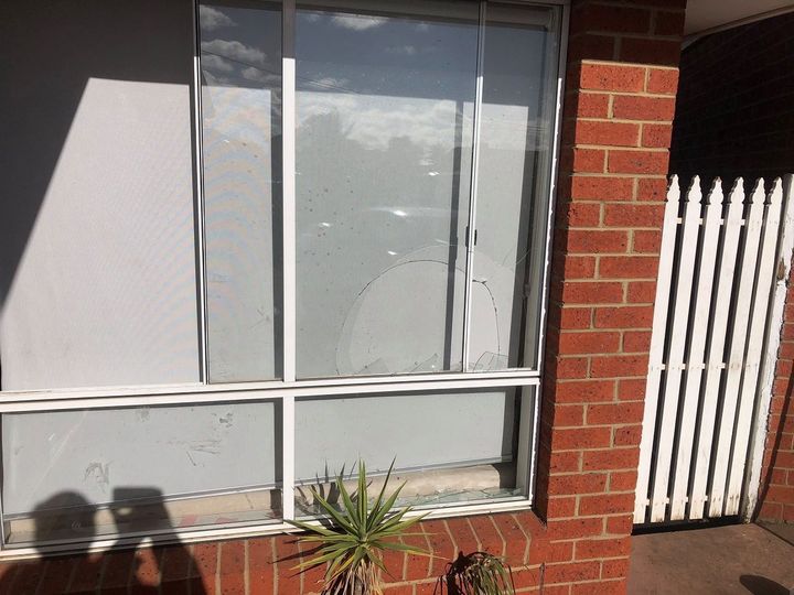 Entry point: The kangaroo broke a window and entered the house late on Saturday night 