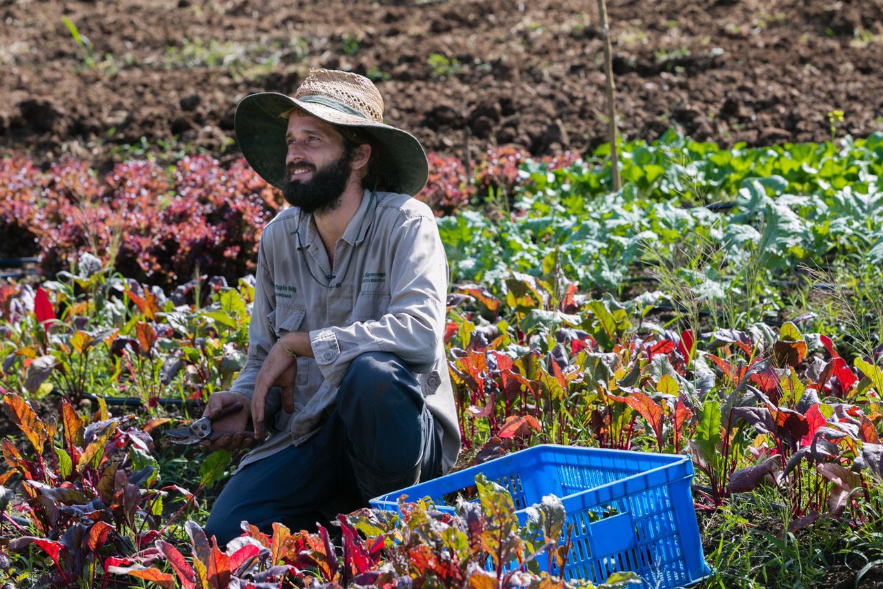 Ian Pagán Roig credits his farm’s preservation to a philosophy of sustainability, self-reliance, and resilience.
