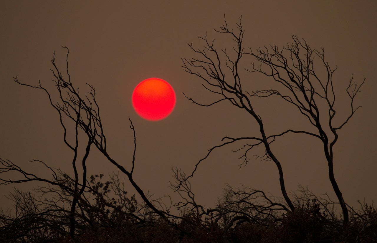 Wildfires burning throughout California have left death and destruction in their wake.