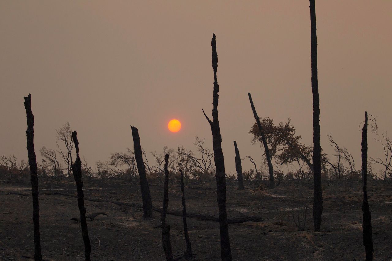 The sun sets July 28 over hills burned by the Carr Fire west of Redding, California.