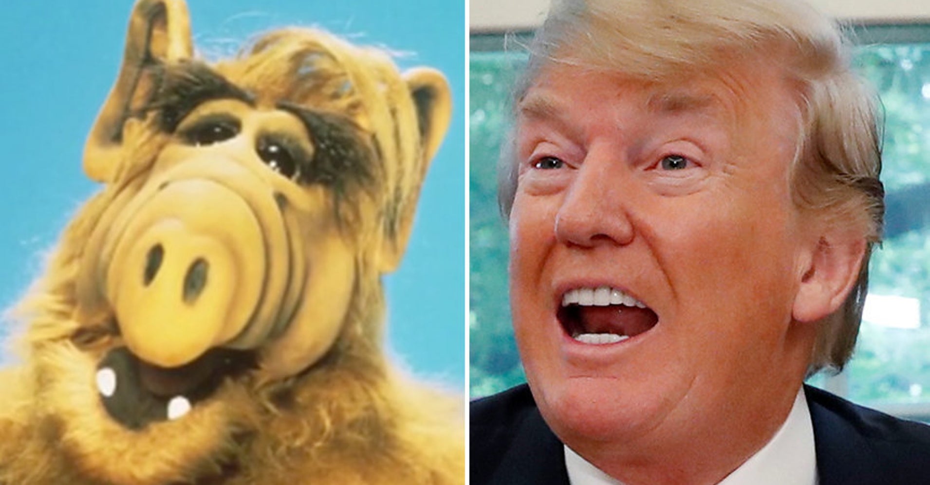 Donald Trump Voicing 'ALF' Is All Kinds Of Weird On 'Jimmy Kimmel Live