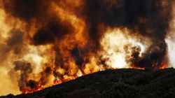 Two California Wildfires Have Merged To Form The Biggest Blaze In State History