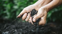 The Heatwave Is Doing Even More Damage To UK Soils Than Previously Thought