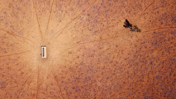 Australia's most populous state, New South Wales is now 100% in drought - a property on the outskirts of Walgett is pictured above