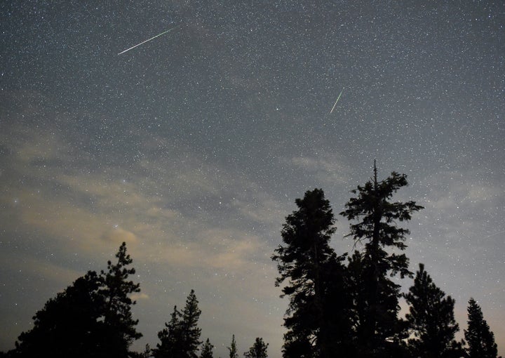 A pair of Perseid meteors streak across the sky above desert pine trees on Aug. 13, 2015, in the Spring Mountains National Recreation Area, Nevada.