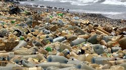 Let's Fix Our Global Plastic Problem And Clean Up Our Oceans