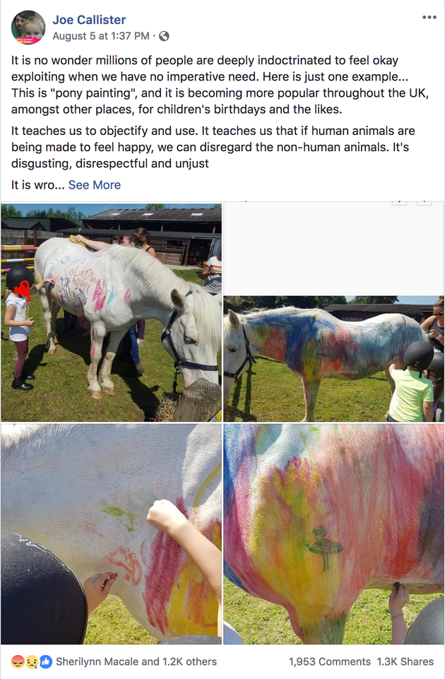Animal right's campaigner, Joe Callisters post was shared over a thousand times