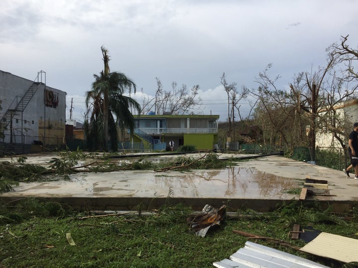 The backyard where the National Circus School's tent now stands was devastated after Hurricane Maria. 