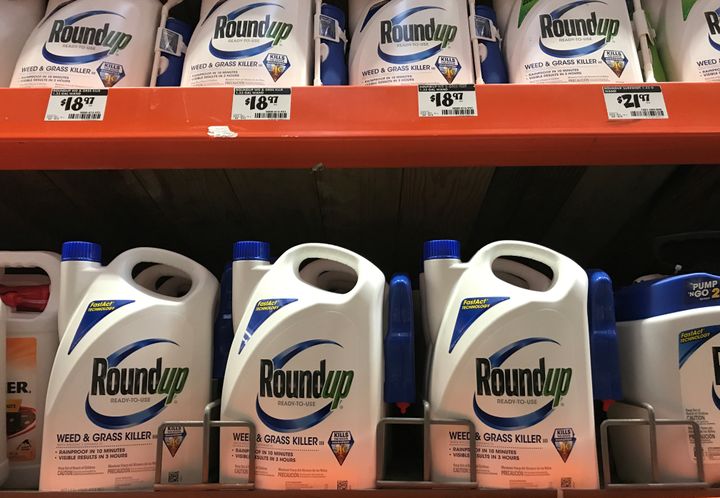 The maker of Roundup weedkiller has insisted British consumers are safe to use the product