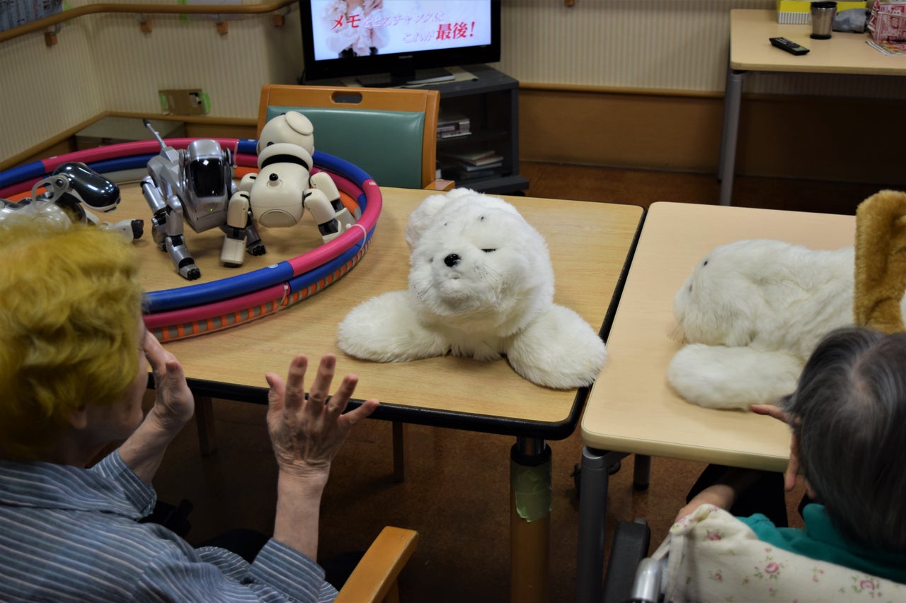 Hiyasu Uraki talks to Paro, the robotic seal.