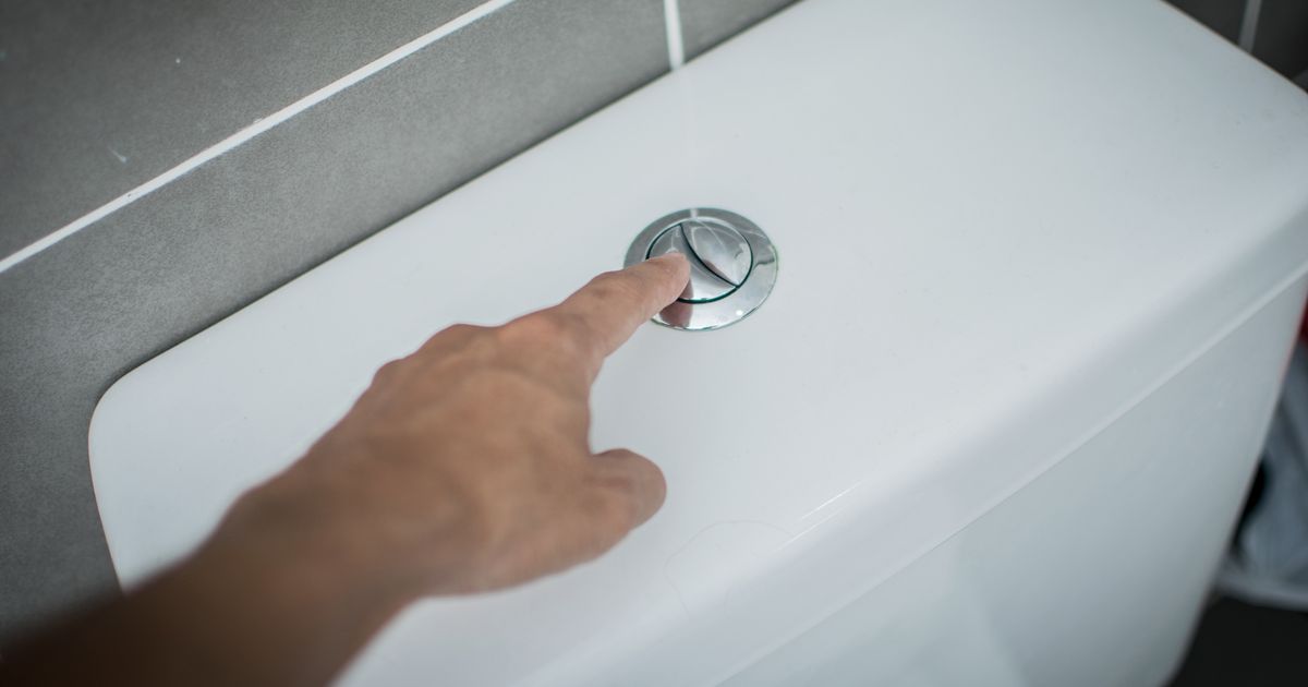 Sanitary Bins Could Be Put In Men's Loos To Protect The Environment ...