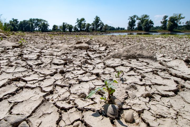 Germany, and many other nations in Europe, suffered several weeks of debilitating heat and drought this summer.